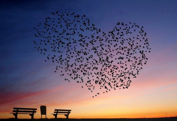 love-is-in-the-air-600x411